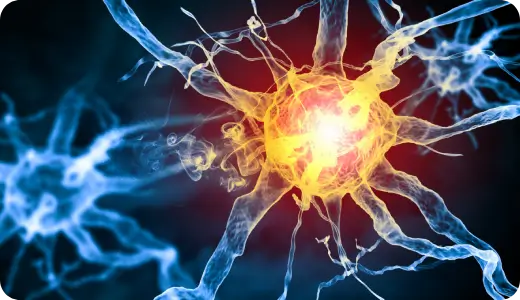 EMG and nerve conduction study testing nerve function
