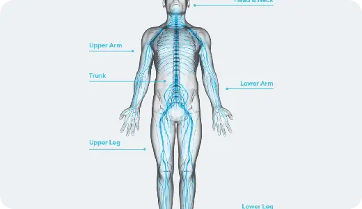 Implantable pain device blocking chronic nerve pain signals