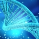 Stem Cell Therapy Helps Your DNA Image