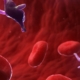 Stem Cell Therapy Platelet Rich Plasma Therapy or PRP Red Blood Cell Count