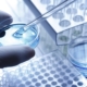 Stem Cell Research & Stem Cell Therapy Lab Pipette
