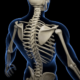 Musculoskeletal Stem Cell Therapy Header Image