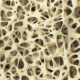 Allogeneic allograft regenerative tissue therapy using donor tissue for treating chronically injured or diseased areas under FDA CFR 361 guidelines