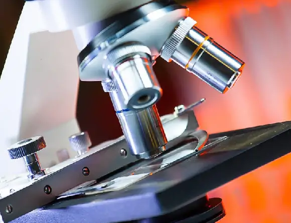 Stem Cell Therapy Microscope