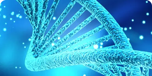 Stem Cell Therapy Helps Your DNA Image