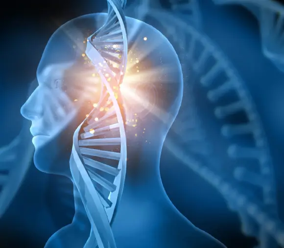 Regenerative medicine supporting the body's natural healing response