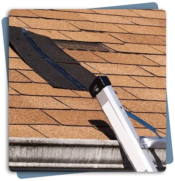 Comprehensive Visual Roof Inspection Services in Louisville