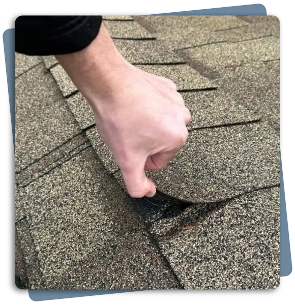 Expert Roof Inspection Services for Louisville Businesses